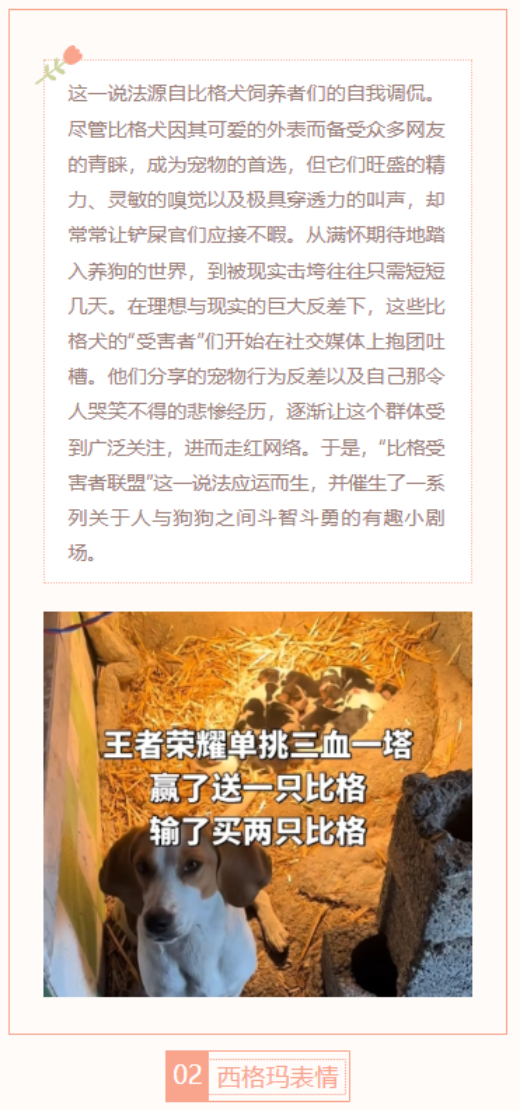 【每日梗图】比格受害者联盟