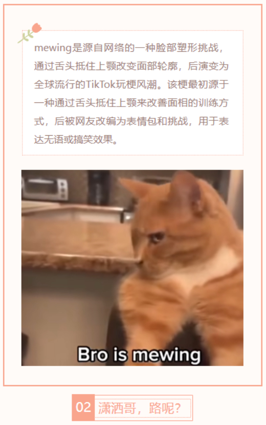 【每日梗图】潇洒哥，路呢？