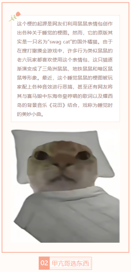 【每日梗图】睡觉鼠鼠