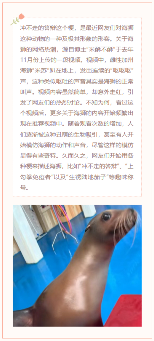 【每日梗图】三国杀进行曲