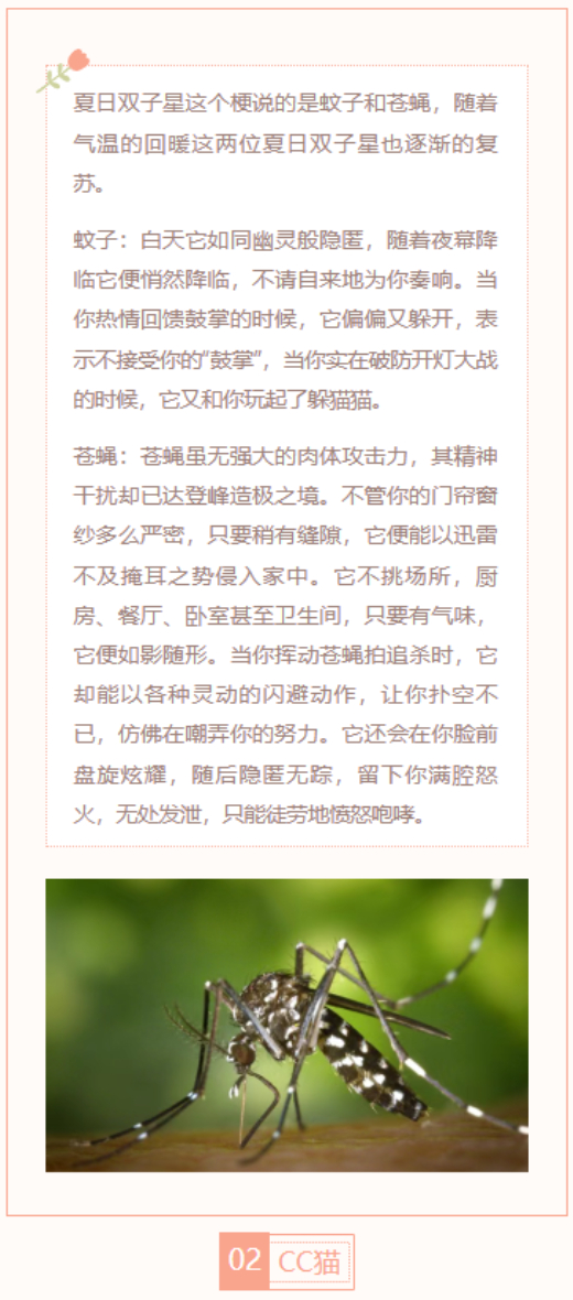 【每日梗图】CC猫