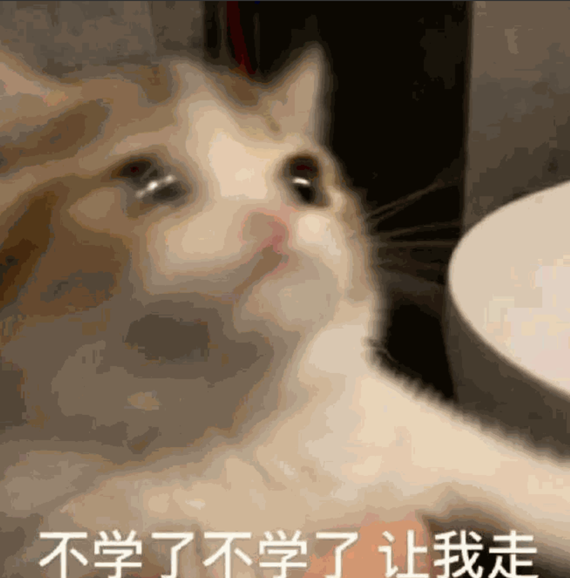 开荒前期资源怎么分配，说下我的理解