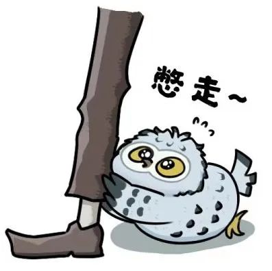 这一次，鸮要夺回属于鸮的一切。