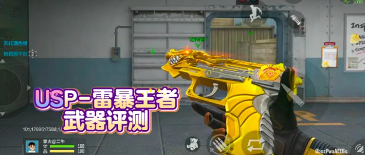 USP-雷暴王者武器评测