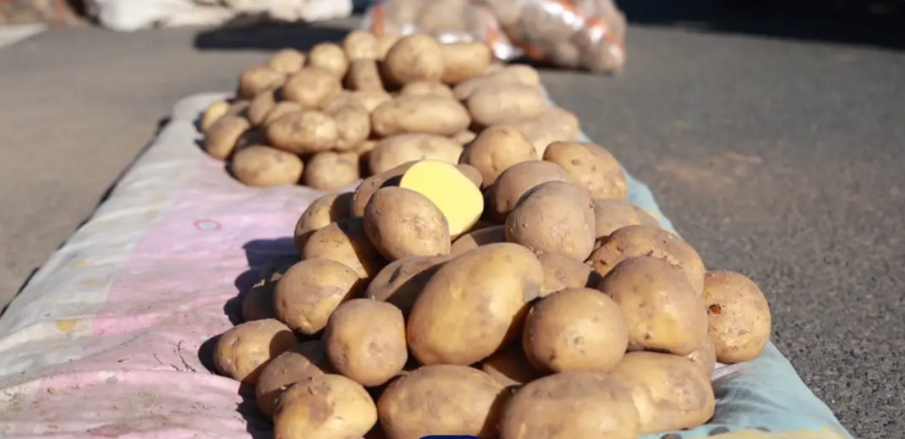 东北囤秋菜的热闹 这游戏资源战同样精彩