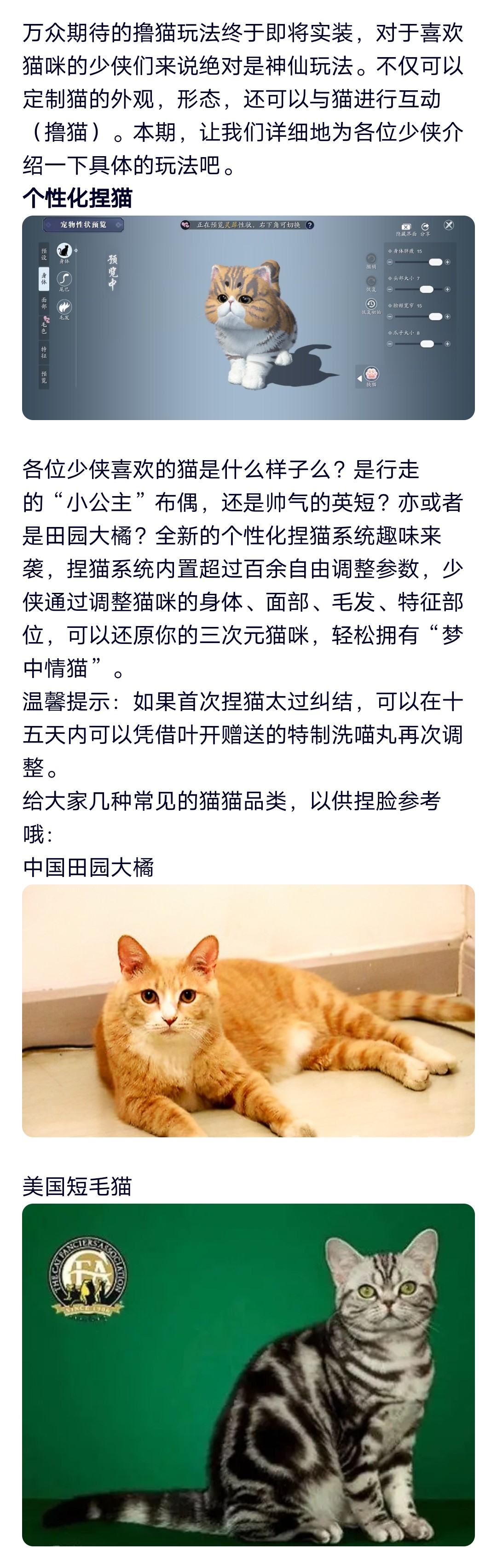 星垂版本前瞻丨侠客岛有猫在等你，全新玩法猫之友实装