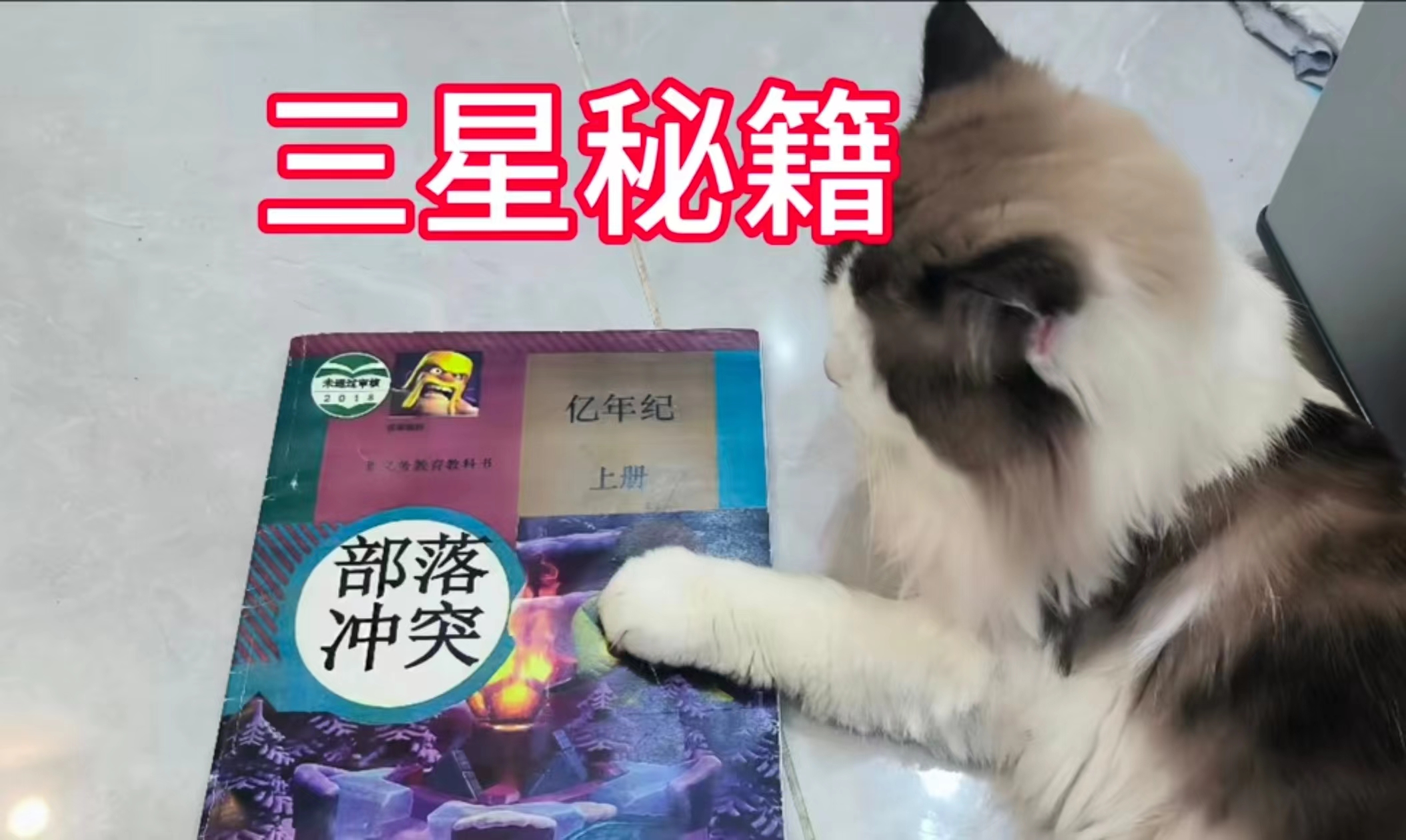 极限三星部落战
