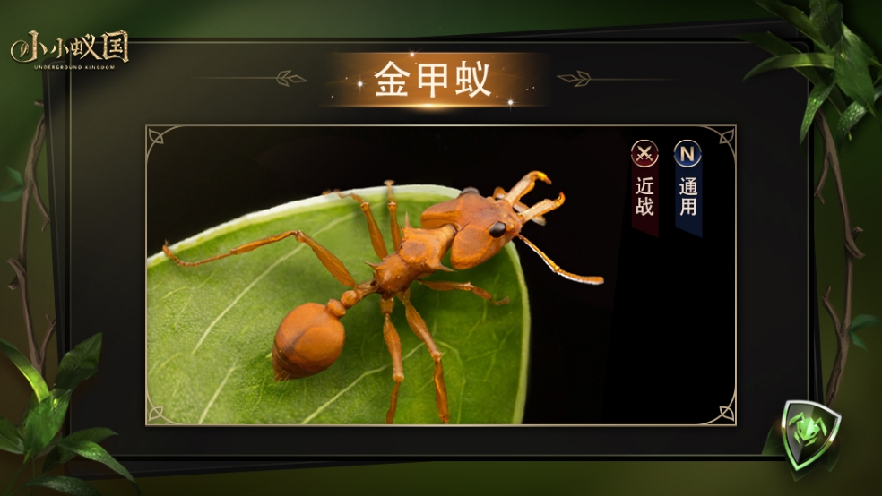 【有蚁说蚁】独行侠-金甲蚁，巨力撕咬你逃得掉吗？
