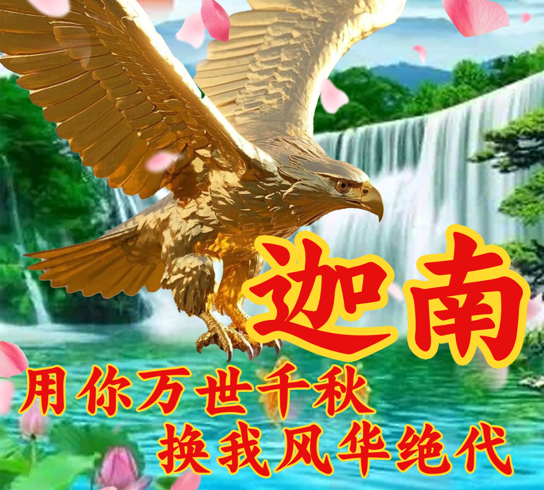 审美积累丨只有用这种头像的人才配和我打游戏