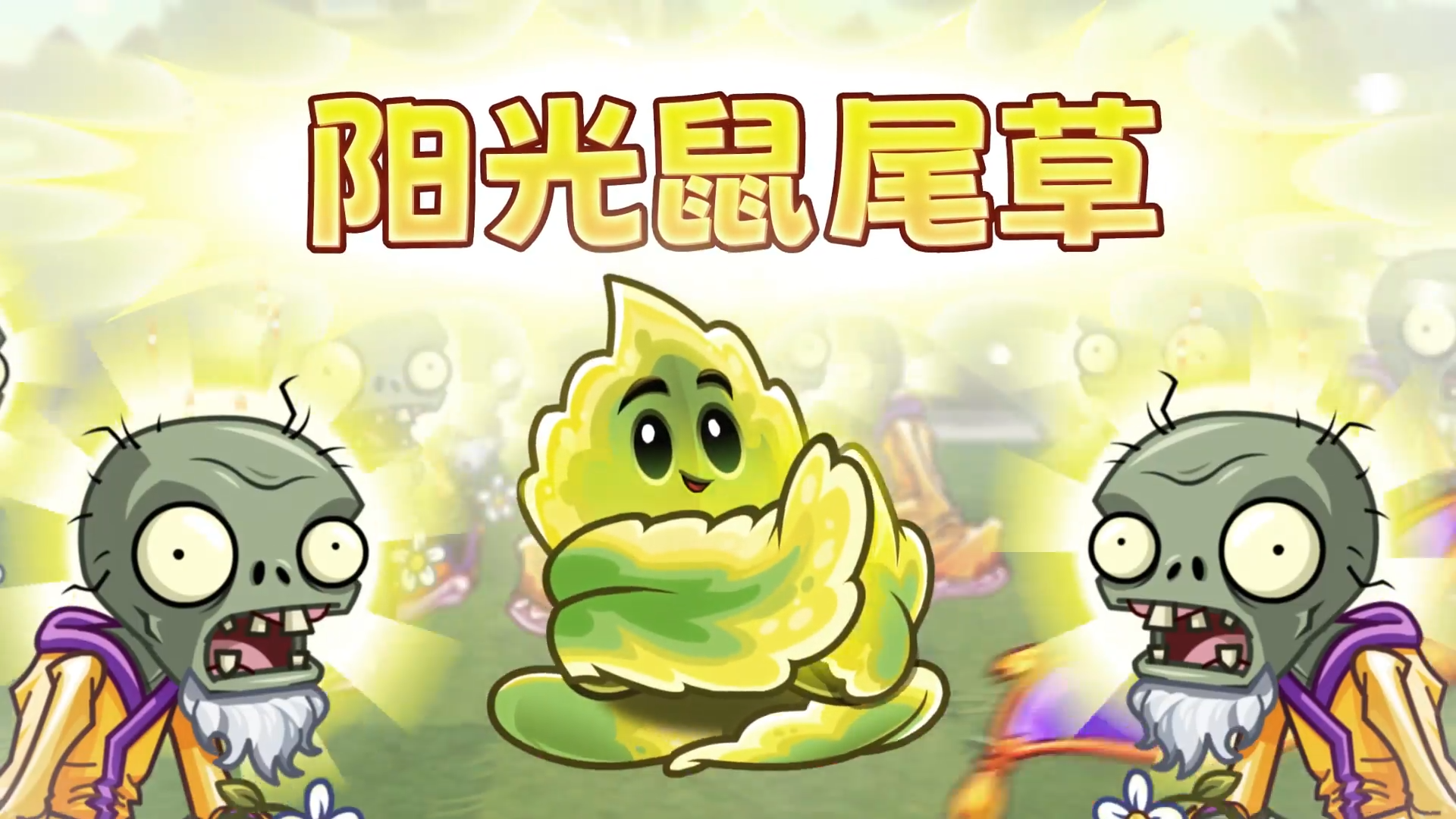 【前瞻】新植物-阳光鼠尾草