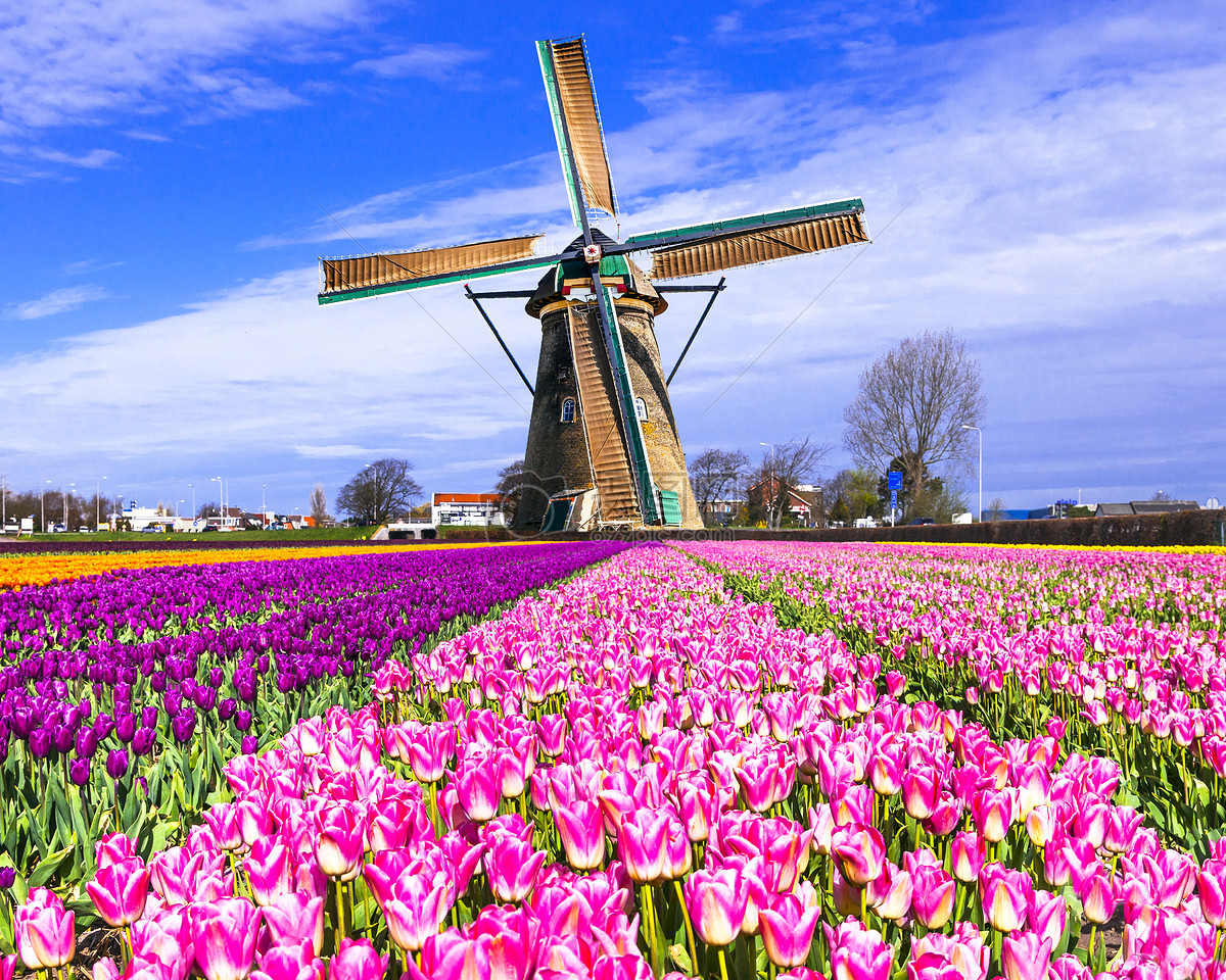 荷兰乡村的中世纪风车高清摄影大图-千库网