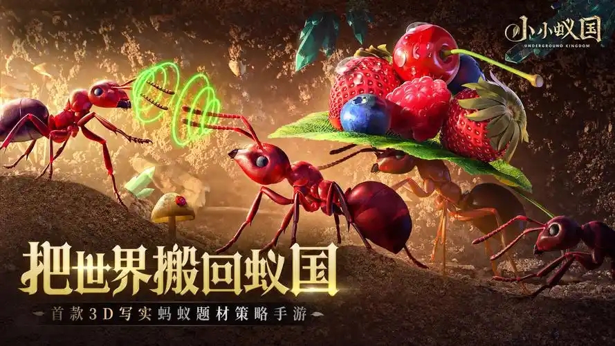 《小小蚁国》百种蚂蚁、多样玩法，打造独属你的地下王朝！