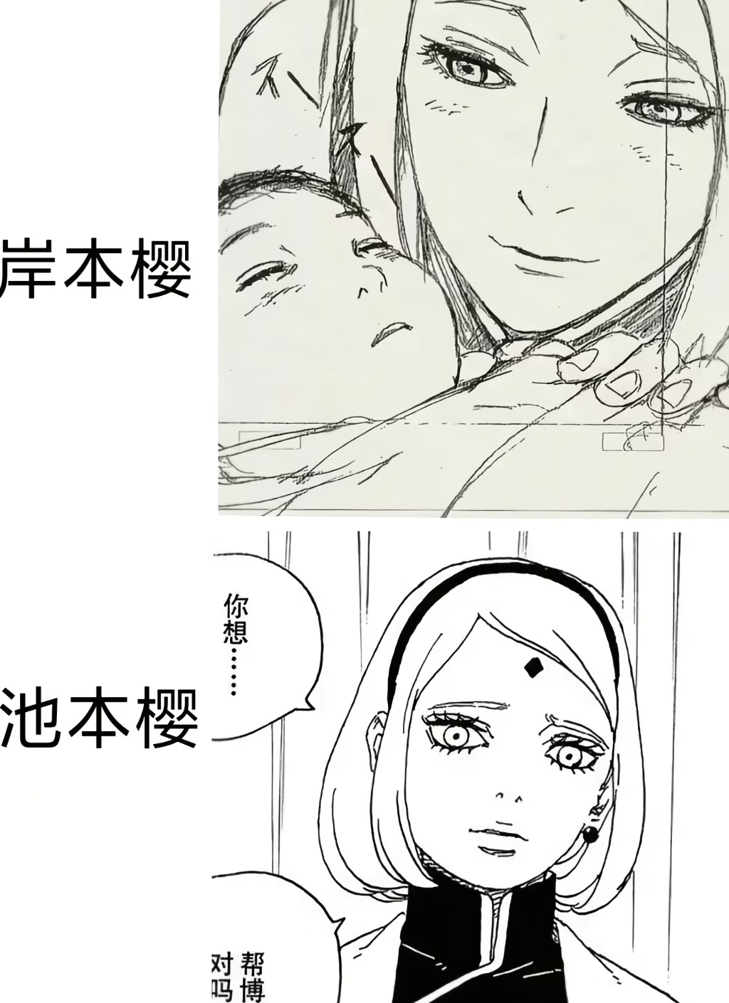 岸本齐史新作漫画——《火影忍者：暗影崛起》连载决定！鸣人就任火影前故事
