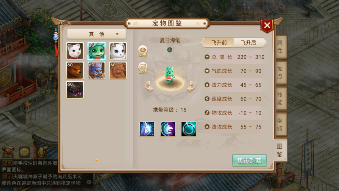 夏日服预约开始啦！夏日海龟竟不是力宠？今天起就能免费带走~