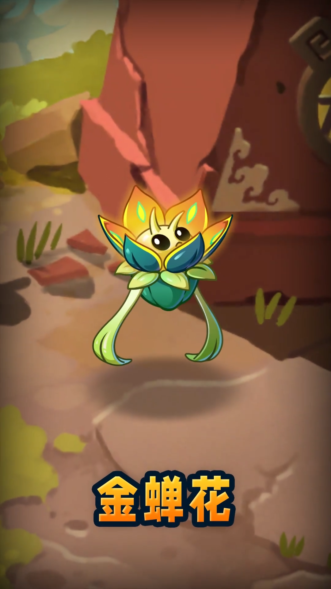 【前瞻】新植物-金蝉花