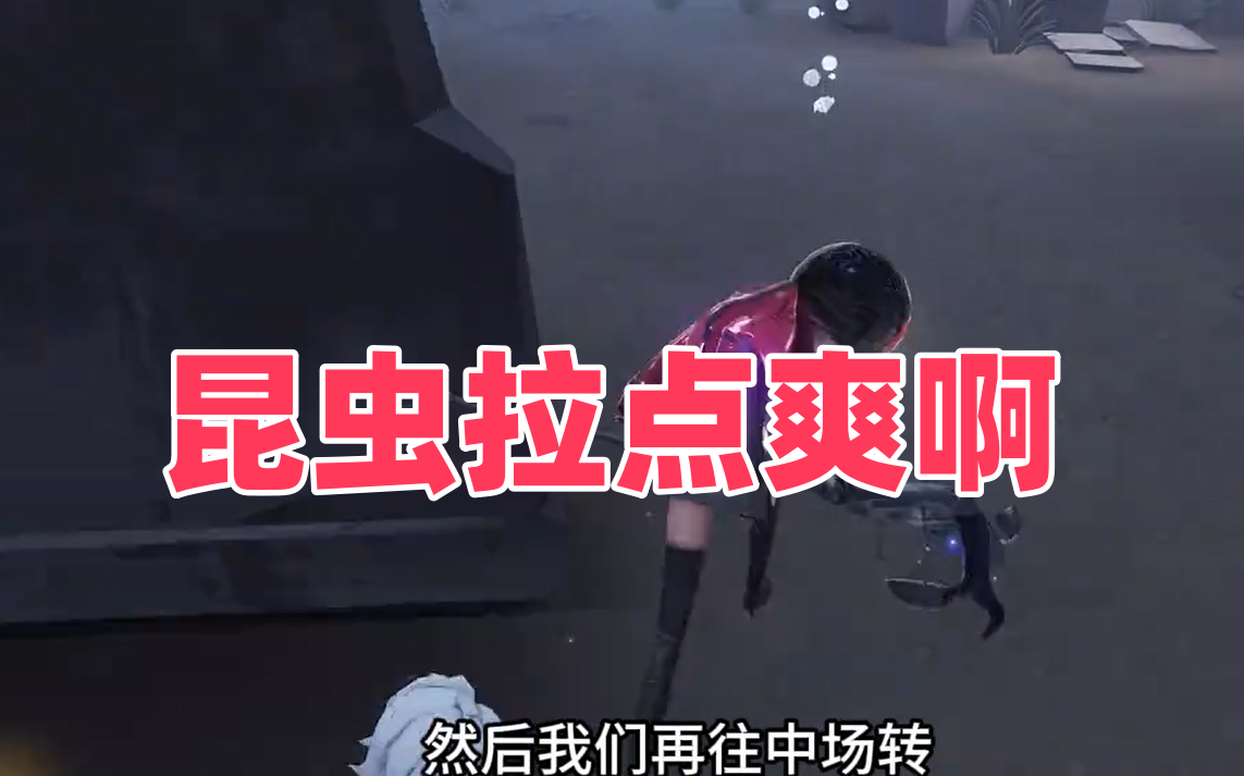  昆虫拉点爽啊