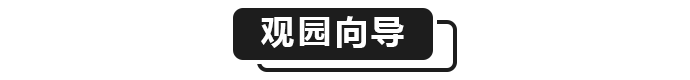 S1大格主C487扰动异星肃卫720+思路