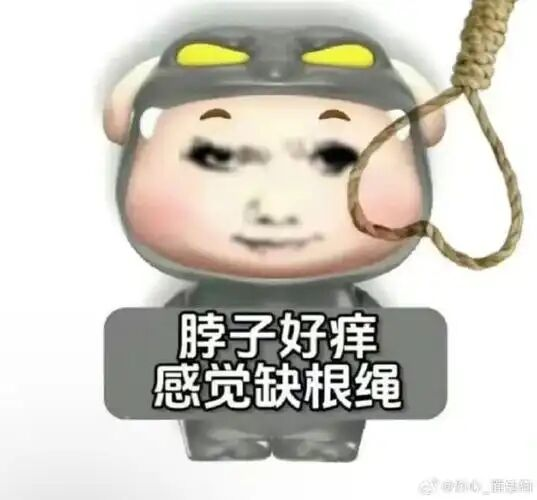 如果你在为选择职业迷茫，那么你并不孤单