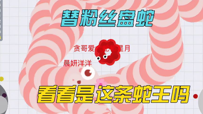 贪吃蛇大作战：当被蛇王围住时，看小蛇如何逆风翻盘！