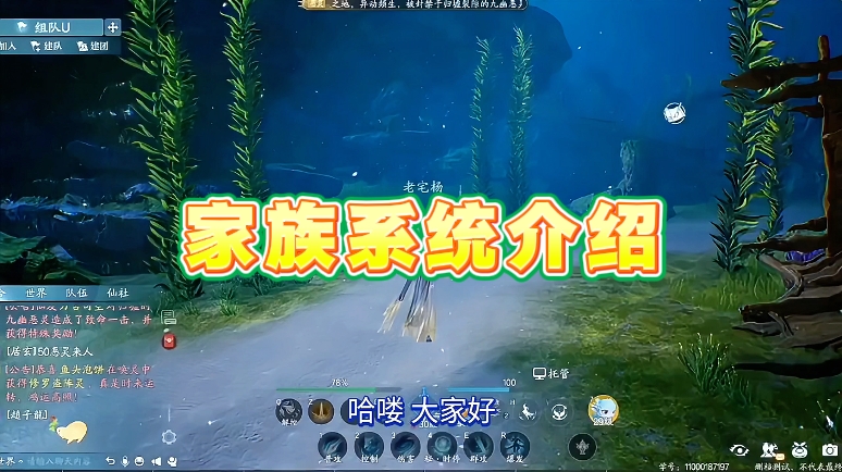 家族系统介绍