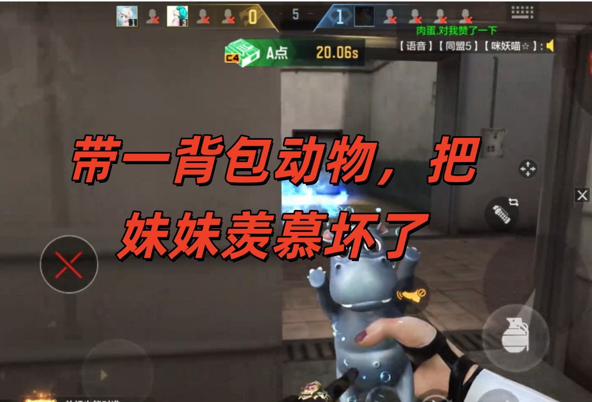 带一背包动物，把妹妹羡慕坏了