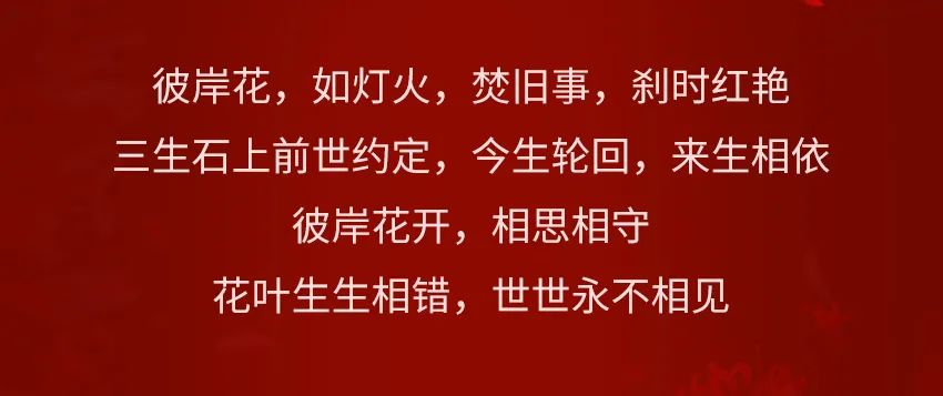 三生石上前生缘，再续彼岸花开的记忆~