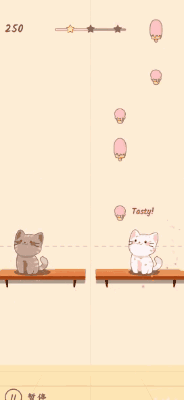 《猫咪二重奏》萌趣横生，音乐与喵星人的完美邂逅！