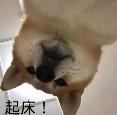 三谋对中年玩家真的友好，不用拼手速不用肝
