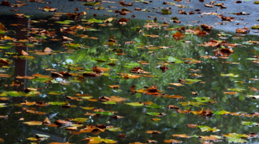 北方秋雨困扰不断，这款游戏带你策略破局
