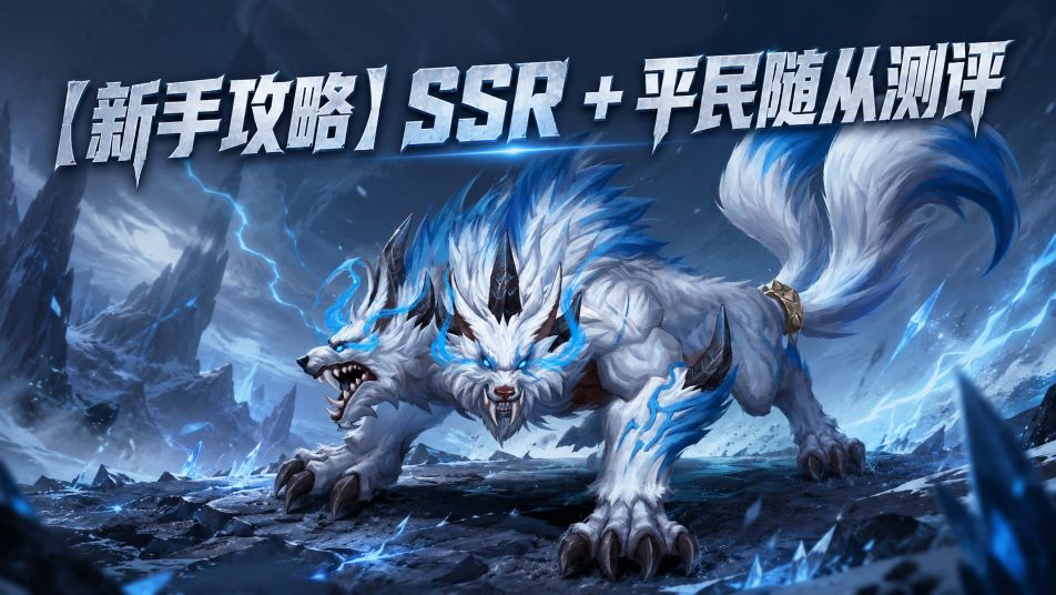 【新手攻略】SSR + 平民随从测评
