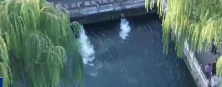 趵突泉靠水泵？这游戏里的自然规律更得细品