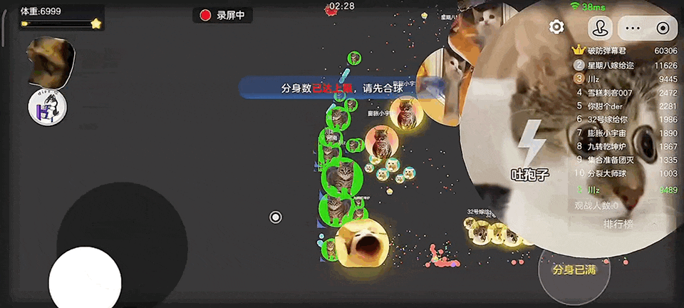 【球宝攻略】霸屏赛 “猫” 系绝杀！哈基猫皮肤封神指南