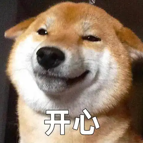 柴犬治愈不如来场零压力的策略盛宴