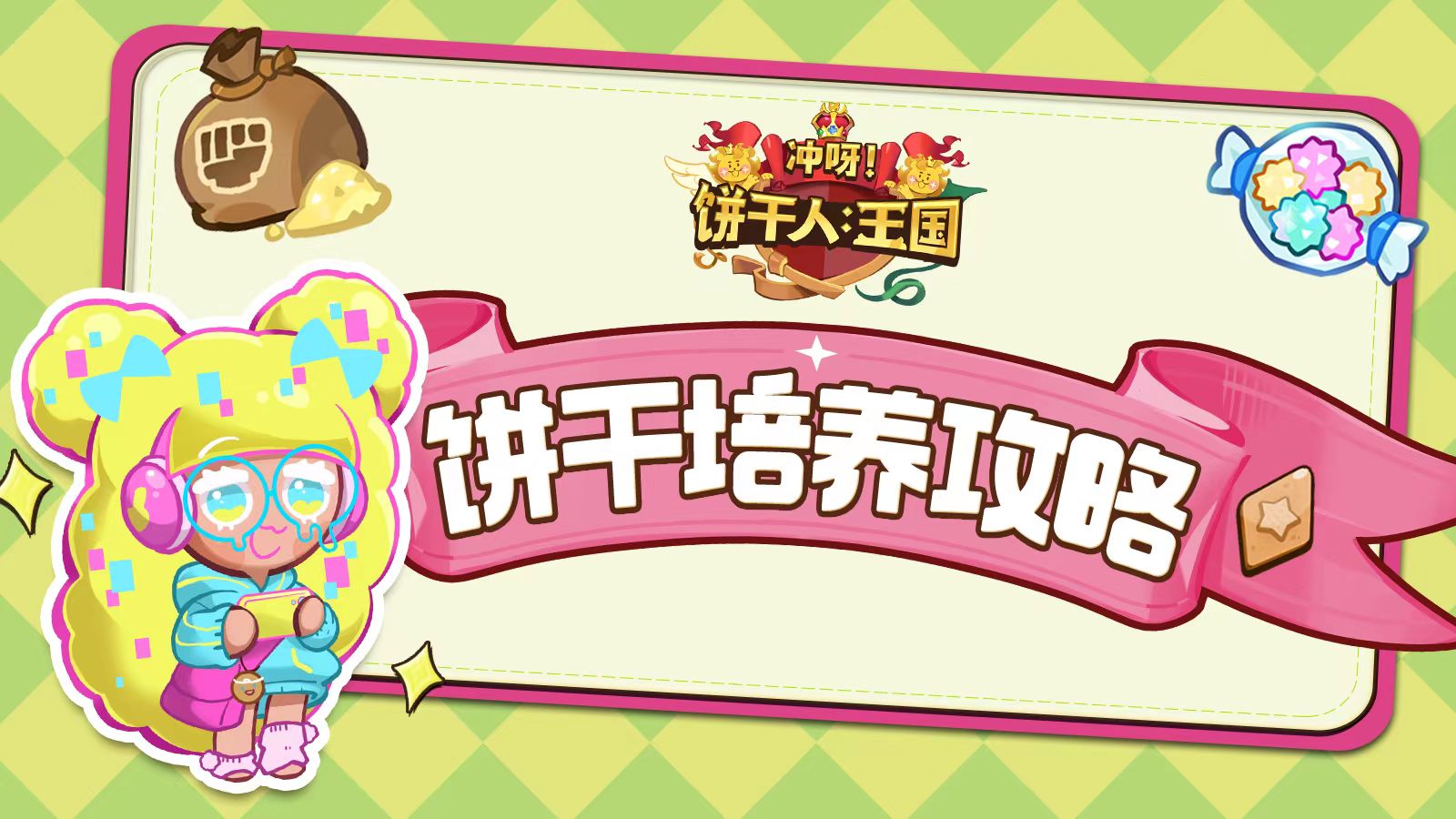 跟糖纸学饼干培养，饼干培养详细说明