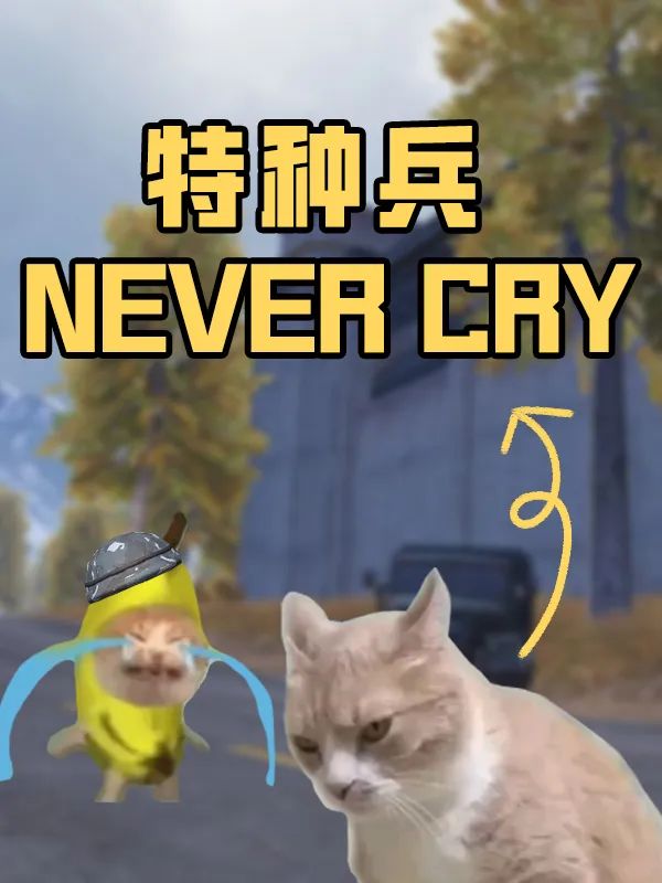 特种兵Never Cry