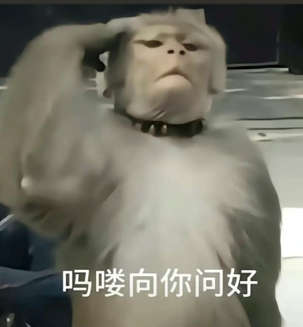 雪饼猴跳传统舞火了 这款游戏里的跨界更精彩