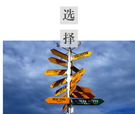 人生选择皆值得喝彩 游戏策略自由任你选