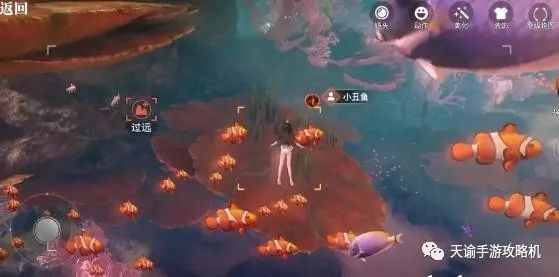 天谕手游汐愿之海鱼类分布大全