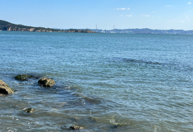 海边大合唱刷屏！这款游戏藏着你的解压秘籍