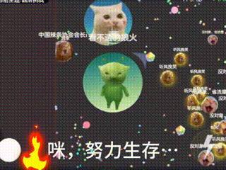 报告长官！咪染上了球球大作战，就不回去了...