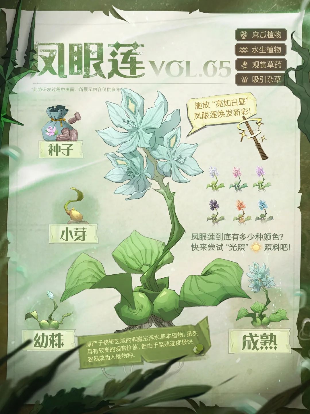 水生植物图鉴丨一周逛两次“疯狂藤蔓”，每次都有新收获~