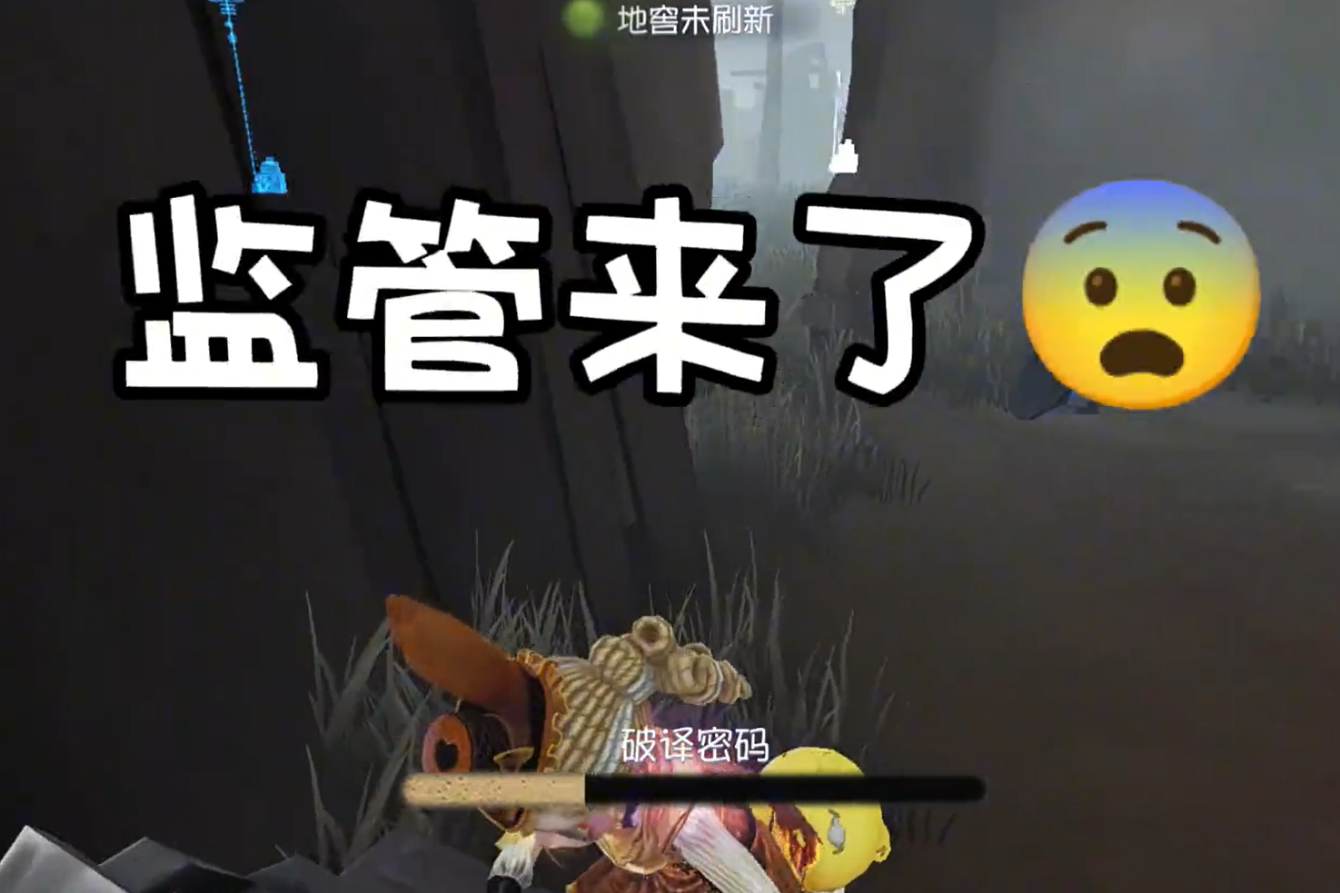 遛一遛小鼻噶！