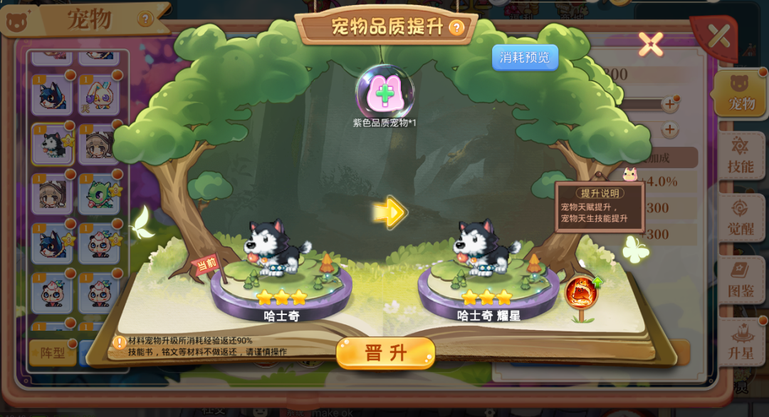 《永恒岛》彩虹小课堂丨宠物秘籍