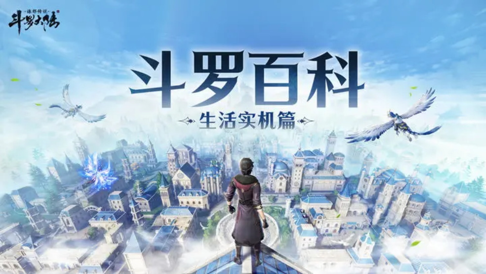 【斗罗百科】在斗罗大陆的平凡「生活」是什么？
