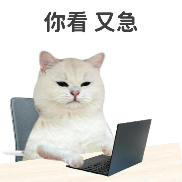 职场生存法则竟与这款游戏策略不谋而合