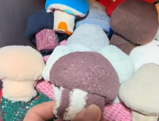 蘑菇袜火遍全网 这款游戏“创意战”更有趣