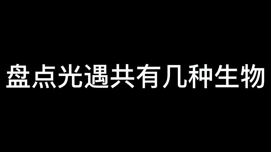 光·遇：盘点光遇共有多少种生物