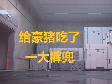 给豪猪吃了一大裤兜