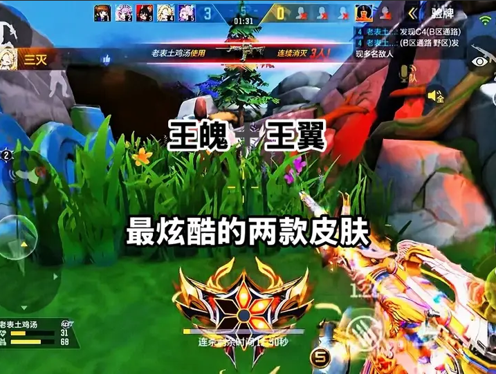 王魄+王翼最炫酷的两款皮肤
