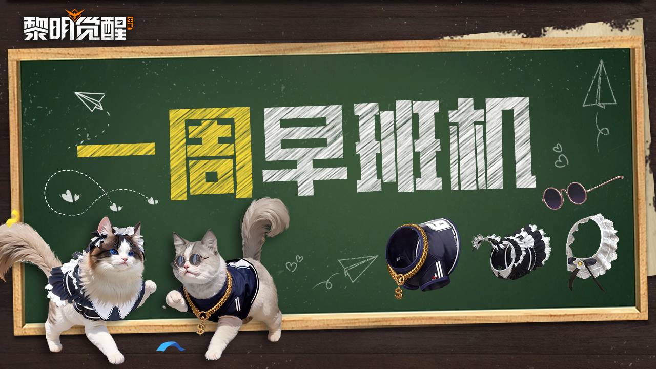 早班机｜「喵仔成双」布偶猫猫登场，卡曼幻境来袭！